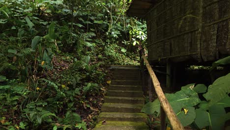 concrete stairs with a wooden handrail lead upwards beside a traditional building with thatched walls within mari mari village, kota kinabalu, malaysia