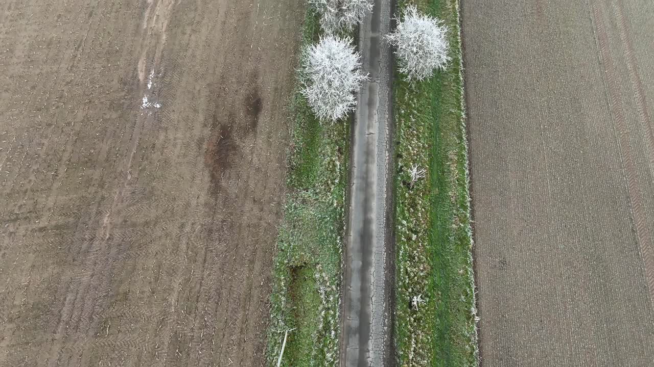 Black car on road between frozen and icy trees in winter season. Brown agricultural farm fields in american countryside. Aerial top down flyover.