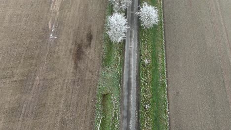 black car on road between frozen and icy trees in winter season. brown agricultural farm fields in american countryside. aerial top down flyover.