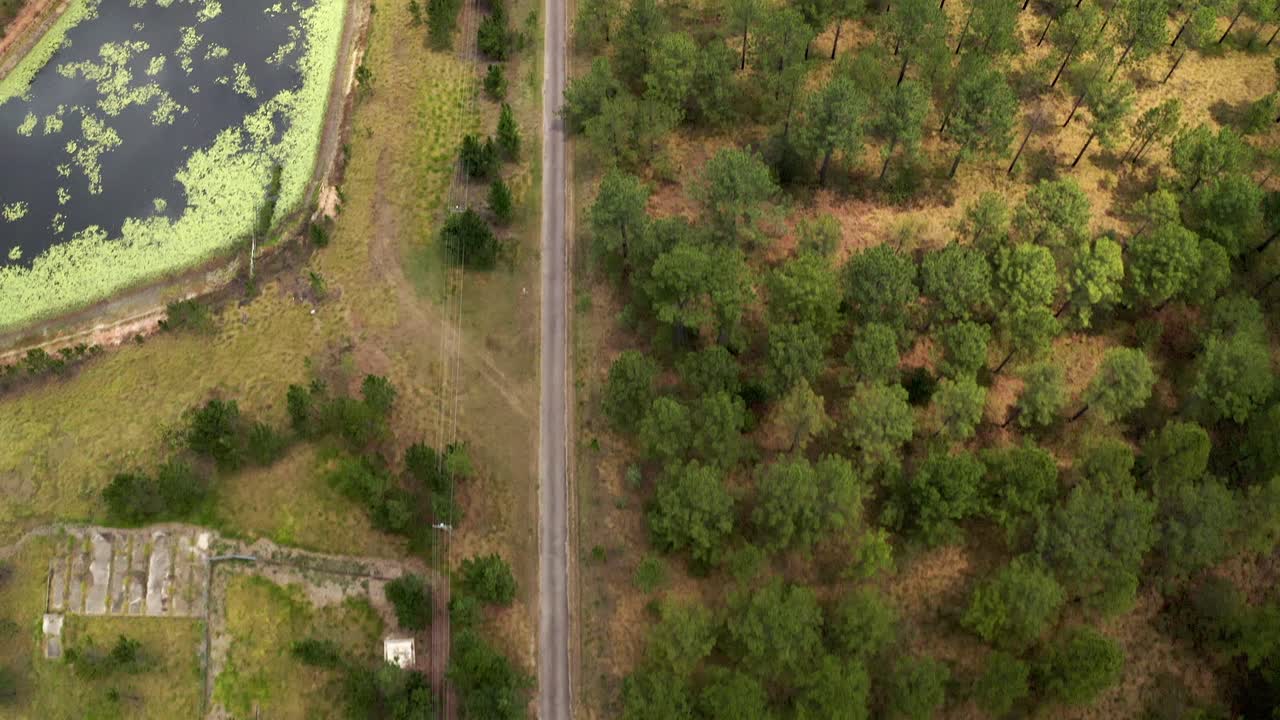 vista de pájaro de una carretera rural en bosques densos en la región de la costa del sol, queensland, australia