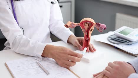 doctor explaining female reproductive anatomy with a uterus model to a patient