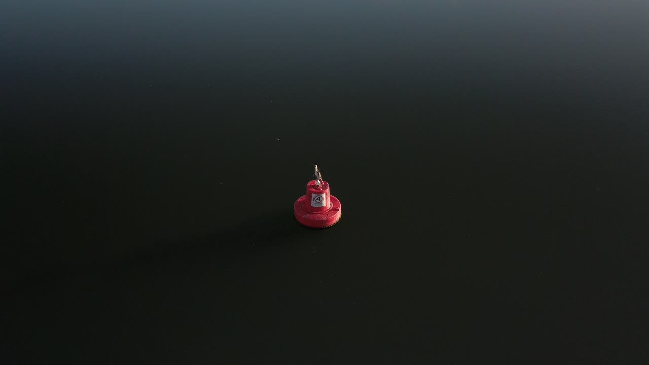 морская птица или чайка стоит на вершине красного буя в спокойной воде морского океана