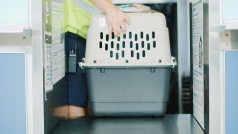 airport employee transporting live animal