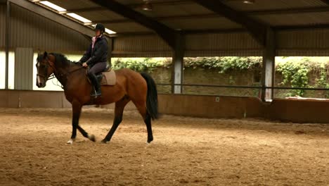 pretty brunette riding her horse