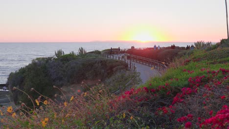 california sunset over colorful landscaping and path