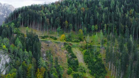 Drohnenaufnahme-Von-Der-Seite-Der-Bergstraße-Mit-Bäumen-Beiseite-In-Eisenkappel-Vellach,-Österreich