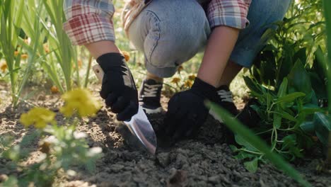 Gardener-digging-in-ground-in-the-flowerbed