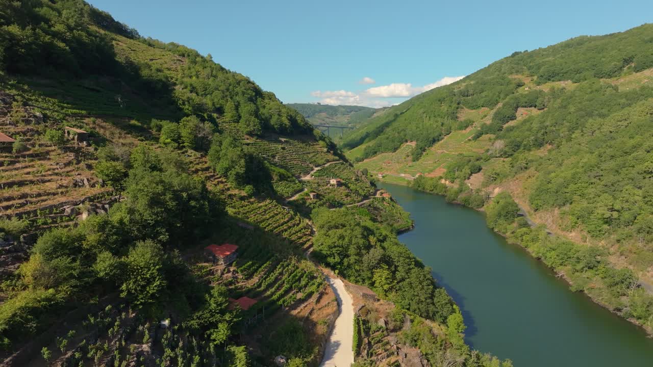 Panorama della Valle del Minho che Scorre Attraverso la Catena Montuosa con Campi Terrazzati e Foresta