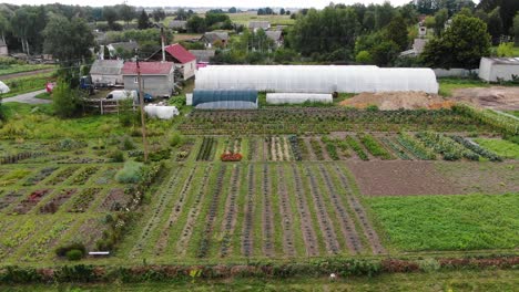 aerial view of a large vegetable garden with greenhouse