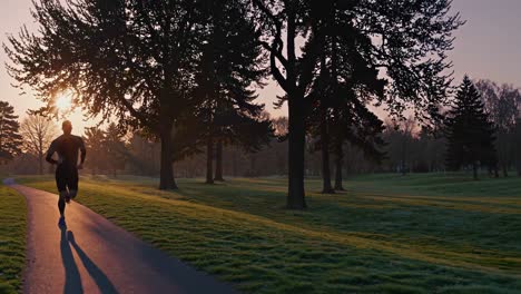 young athletic runner moving along scenic park path during golden sunrise, embodying healthy lifestyle through dedicated morning fitness training and personal wellness journey