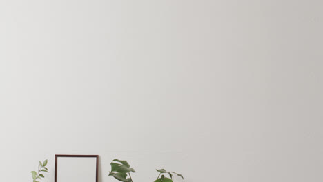 wooden frame with copy space on white background with plants against white wall