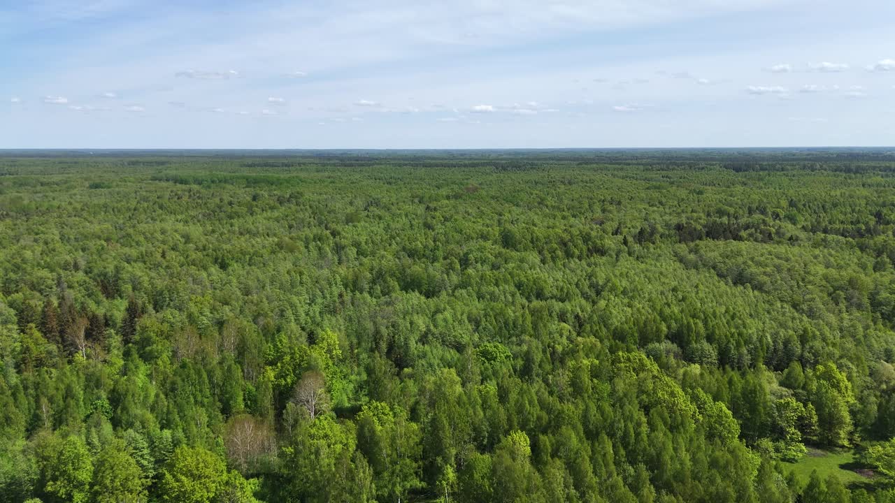 Expansive aerial view of dense forest landscape in Tuja, Latvia, captured in daylight