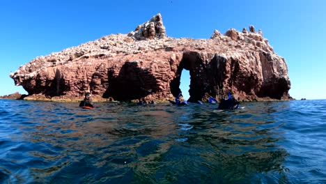 snorkelers float in the water just offshore from an arch rock formation near la paz, mexico