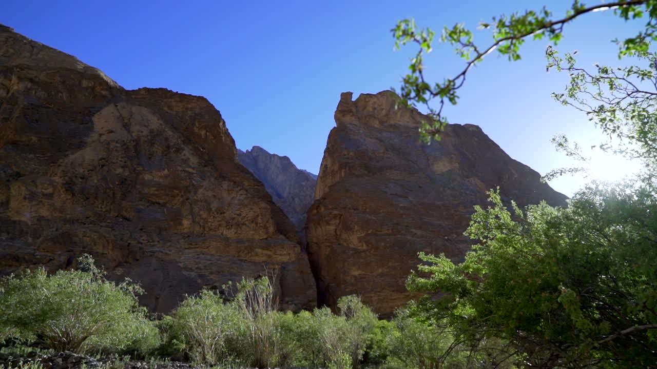 revelar toma desde detrás de un árbol a los picos de las montañas en un día soleado