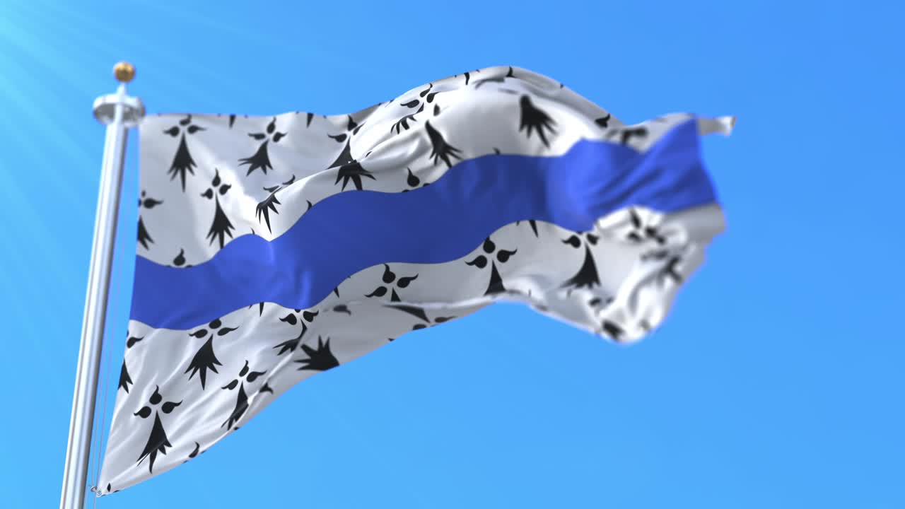 프랑스 로아르 드 라 로아르 지방의 로아르-아틀란티크 지방의 발