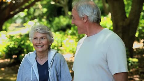 elderly couple looking at the way ahead