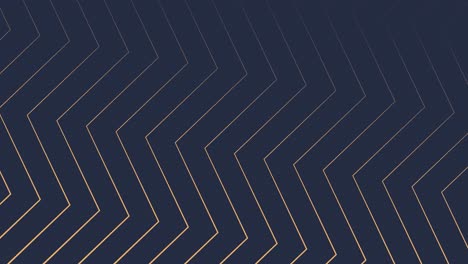 modern elegant animated background