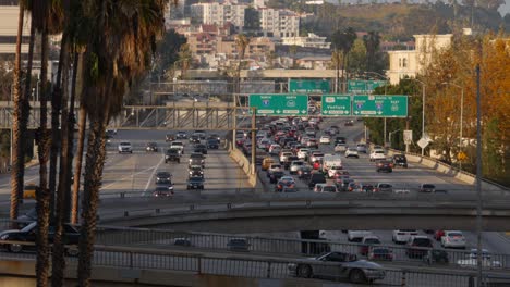 busy los angeles traffic on u.s. route 101 near western avenue and the downtown exit. palm trees line the road as vehicles move steadily on the freeway, with city buildings in the background