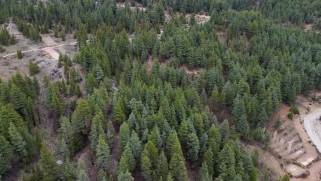 Dschungelansicht,-Die-Drohne-Fliegt-über-Eine-Landschaft-Mit-Dichten,-Grünen,-Waldbedeckten-Bergen,-Luftaufnahme-Von-üppigen-Grünen-Waldbergen,-Dschungelansicht