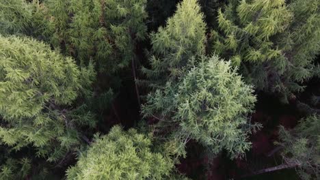 Diese-Drohnenaufnahme-Wurde-Auf-Einer-Dreitägigen-Reise-In-Den-&quot;Harzwald&quot;-In-Deutschland-Aufgenommen