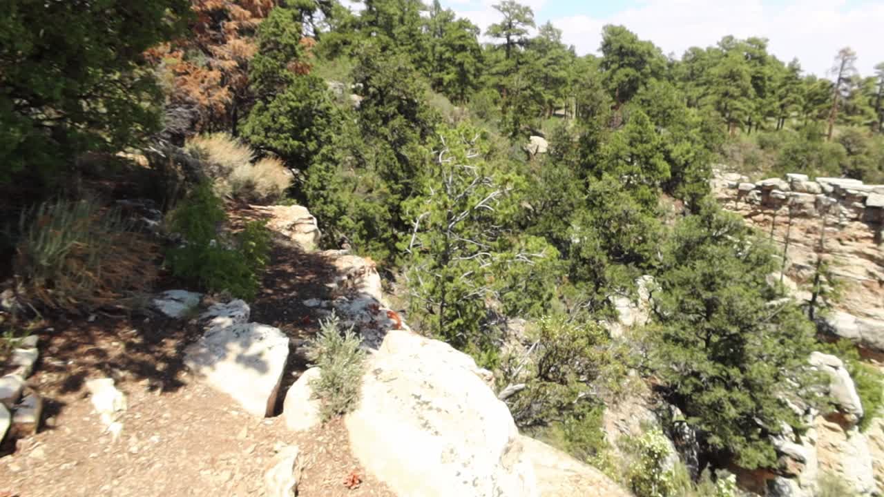 revelación del parque nacional del gran cañón panorámica hacia la derecha