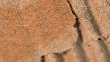 Close-up-view-of-torn-cardboard-with-rotation-motion,-macro-shot