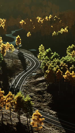 scenic autumn road through colorful forest