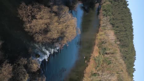 Sereno-Río-Tâmega-Que-Fluye-A-Través-Del-Bosque---Video-Aéreo-Vertical