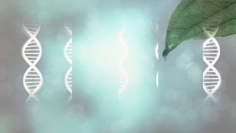 animation of dna structures over close up of a leaf and spots of light against grey background