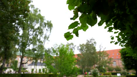 Close-up-of-leaves-moving-in-wind-in-the-out-of-focus-Garden-of-Royal-Library,-Copenhagen