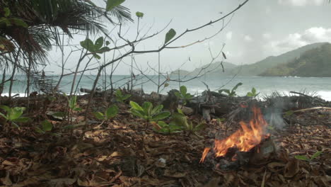 wide shot of a small fire of waste in a colombian paradise at the darien gap
