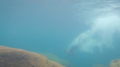 joven buceando profundamente en aguas azules claras durante el día desde diferentes ángulos