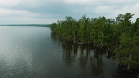 Árboles-Y-Lago-En-El-Parque-Estatal-Reelfoot-Lake,-Tennessee,-Estados-Unidos---Toma-Aérea-De-Drones