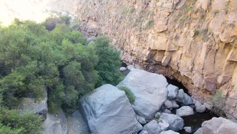 creek-with-a-small-stream-surrounded-by-vegetation-seen-from-the-air