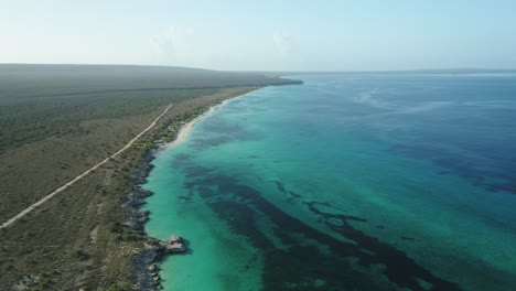 impressive aerial shot with drone of the coasts of cabo rojo, pedernales, on a clear morning overlooking the turquoise blue water and the vegetation of the area