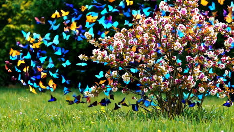 butterflies and flowers in a spring garden