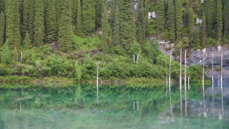 Kaindy-See-In-Kasachstan,-Auch-Als-Birkensee-Oder-Unterwasserwald-Bekannt