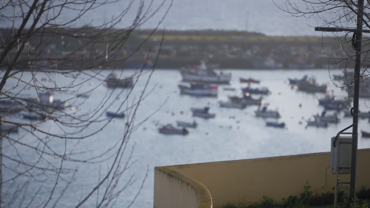 Several boats at a marina in Sines, Portugal