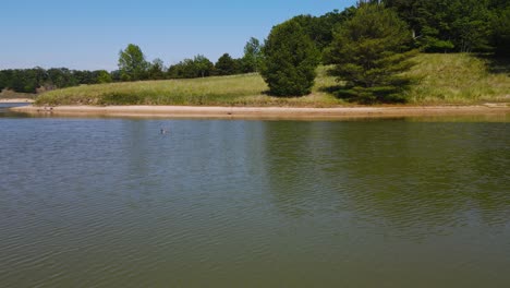 Pato-Real-En-La-Superficie-Del-Agua-Tibia-Del-Lago