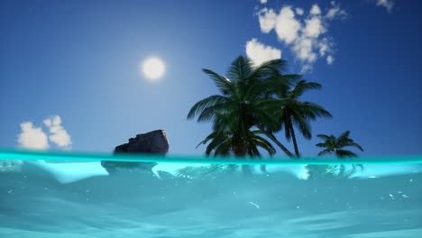 vista dividida de la sección transversal de agua de mar y palmeras en la isla