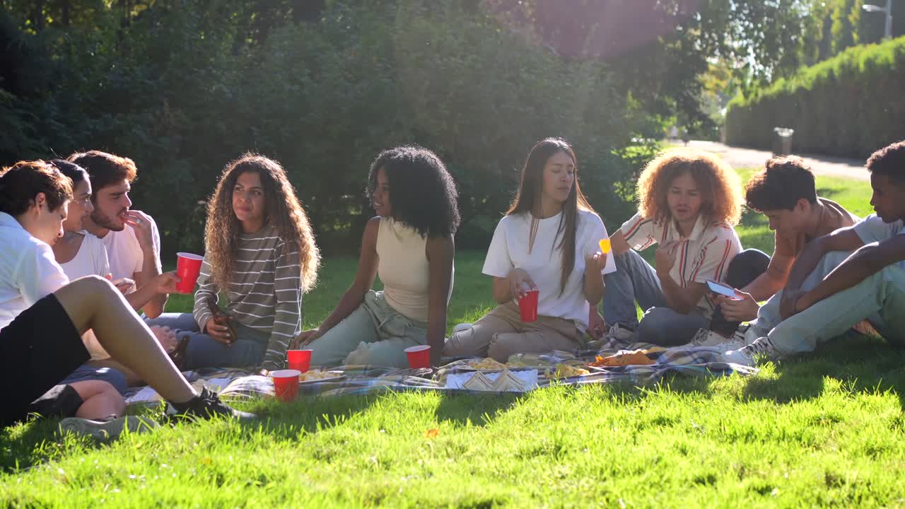 Group of Young Adults Having a Picnic in the Park