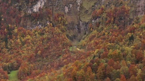 vibrant autumn trees in the swiss klöntal valley with a scenic mountain backdrop