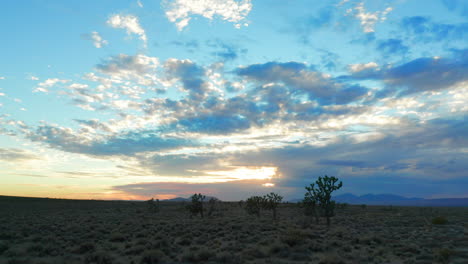 Low-altitude-flight-over-the-Mojave-Desert-and-Joshua-trees-at-sunset