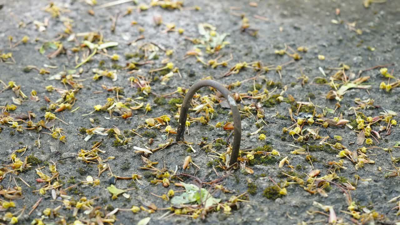 The metal handle of the lid of the manhole in Estonia