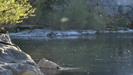 Río-Saludable-Lleno-De-Insectos-Y-Pólenes-Volando-Sobre-El-Agua-Puesta-De-Sol-Francia-Herault