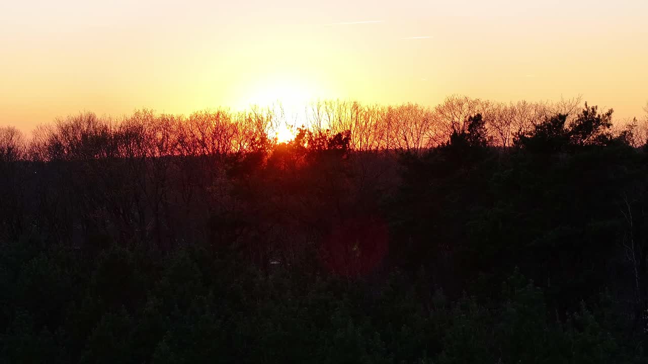 Beautiful sunset scene with bare trees and orange sky over forest landscape.