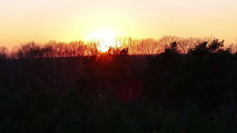 beautiful sunset scene with bare trees and orange sky over forest landscape.