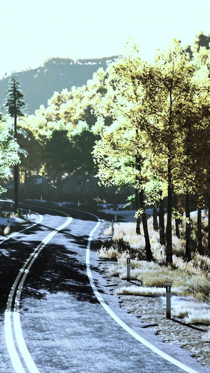 울창 한 숲 을 가로질러 휘어지는 길