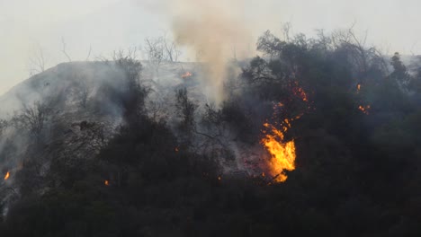 el fuego de thomas arde en las colinas y matorrales sobre ojai california