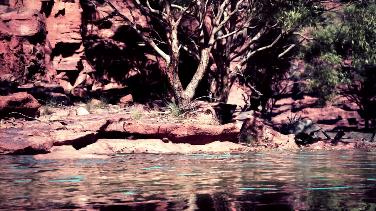 el sereno paisaje del interior de australia: rocas rojas, aguas tranquilas y árboles nativos